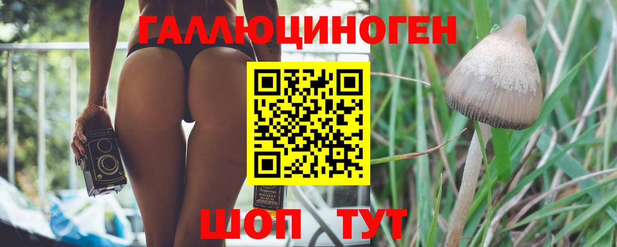 Псилоцибиновые грибы GOLDEN TEACHER  Вход с VPN  Галлюциногенные грибы Magic Shrooms  Курчатов 