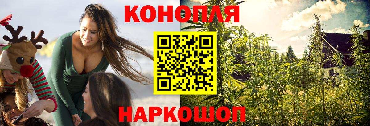 Конопля Bruce Banner  Бошки марихуана сатива  Вход с VPN  Конопля индика  Бошки Шишки White Widow  Курчатов 